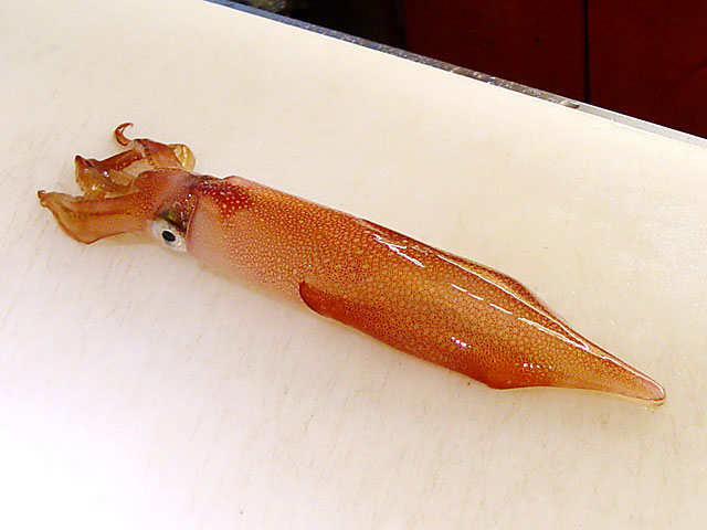 �����C�J�𒲗�